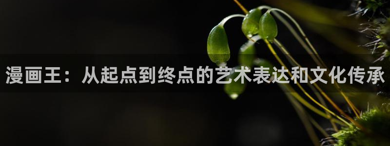 奇漫屋漫画下拉式奇漫屋漫画免费阅读下载